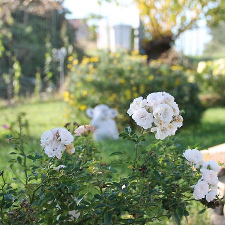Bed and Breakfast Pepe Rosa Termoli Exterior foto