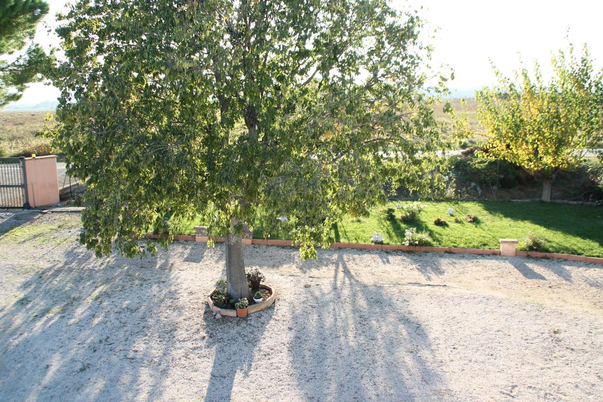 Bed and Breakfast Pepe Rosa Termoli Exterior foto