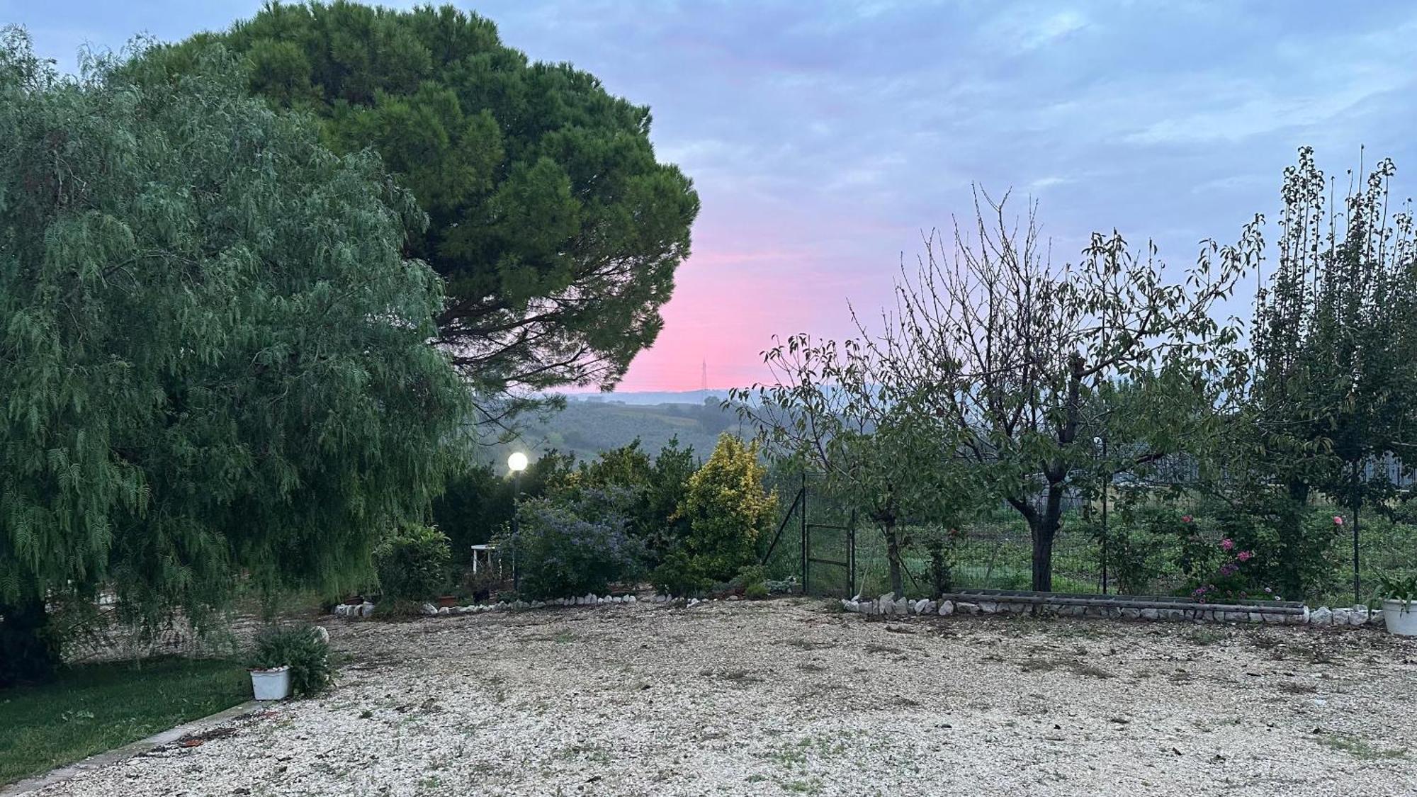 Bed and Breakfast Pepe Rosa Termoli Exterior foto