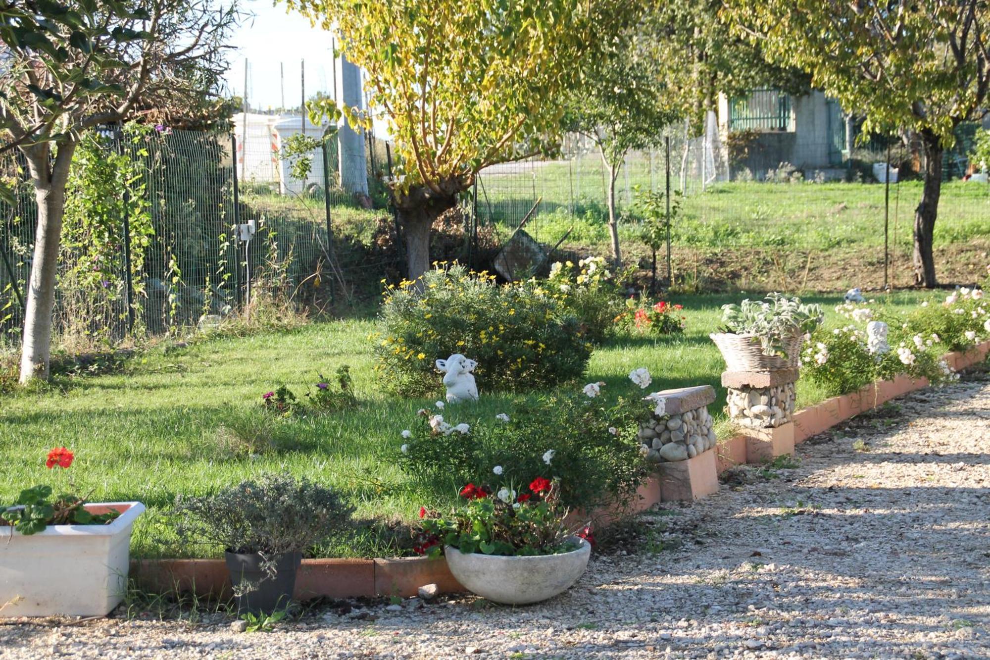 Bed and Breakfast Pepe Rosa Termoli Exterior foto